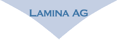 Lamina AG - Firmenlogo